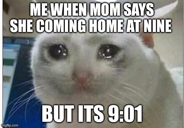 crying cat | ME WHEN MOM SAYS SHE COMING HOME AT NINE; BUT ITS 9:01 | image tagged in crying cat | made w/ Imgflip meme maker