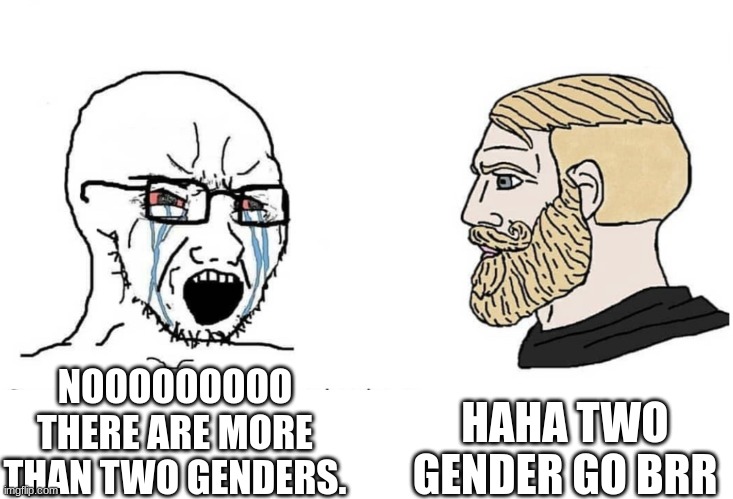 there. i made a different meme thats LIKE it. HAPPY NOW? | HAHA TWO GENDER GO BRR; NOOOOOOOOO THERE ARE MORE THAN TWO GENDERS. | image tagged in soyboy vs yes chad | made w/ Imgflip meme maker