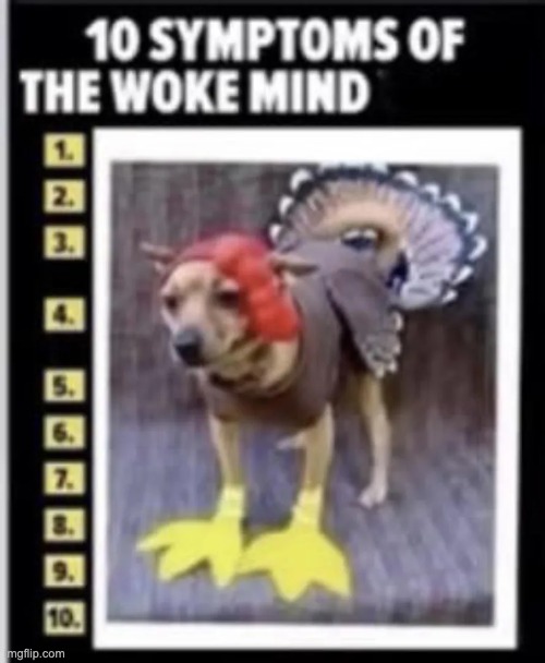5 ups and this goes into LGBTQ | image tagged in memes | made w/ Imgflip meme maker