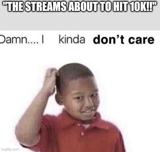 Sure I been here since like 5k but it's whatever ig | "THE STREAMS ABOUT TO HIT 10K!!" | image tagged in damn i kinda dont care | made w/ Imgflip meme maker