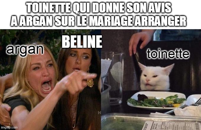 Woman Yelling At Cat Meme | TOINETTE QUI DONNE SON AVIS A ARGAN SUR LE MARIAGE ARRANGER; BELINE; argan; toinette | image tagged in memes,woman yelling at cat | made w/ Imgflip meme maker