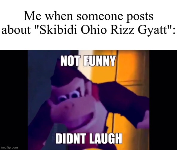 Seriously, some of those people will never stop. | Me when someone posts about "Skibidi Ohio Rizz Gyatt": | image tagged in not funny didn't laugh,memes,funny,i have achieved comedy | made w/ Imgflip meme maker
