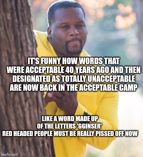 Black guy hiding behind tree | IT'S FUNNY HOW WORDS THAT WERE ACCEPTABLE 40 YEARS AGO AND THEN DESIGNATED AS TOTALLY UNACCEPTABLE ARE NOW BACK IN THE ACCEPTABLE CAMP; LIKE A WORD MADE UP OF THE LETTERS 'GGINSER' 

RED HEADED PEOPLE MUST BE REALLY PISSED OFF NOW | image tagged in black guy hiding behind tree | made w/ Imgflip meme maker