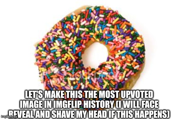 Istg I'll do it | LET'S MAKE THIS THE MOST UPVOTED IMAGE IN IMGFLIP HISTORY (I WILL FACE REVEAL AND SHAVE MY HEAD IF THIS HAPPENS) | image tagged in donut | made w/ Imgflip meme maker