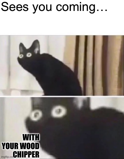 Oh No Black Cat | Sees you coming…; WITH YOUR WOOD CHIPPER | image tagged in oh no black cat | made w/ Imgflip meme maker