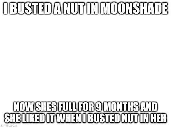 yes, she really liked it | I BUSTED A NUT IN MOONSHADE; NOW SHES FULL FOR 9 MONTHS AND SHE LIKED IT WHEN I BUSTED NUT IN HER | image tagged in tags | made w/ Imgflip meme maker