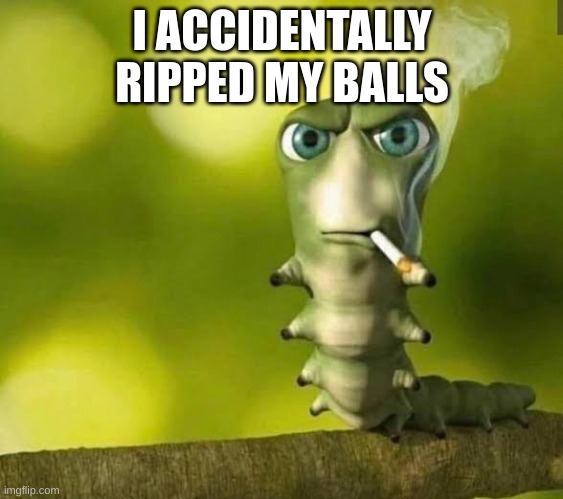 it hurts so good daddy~ | I ACCIDENTALLY RIPPED MY BALLS | image tagged in caterpillar smoking | made w/ Imgflip meme maker