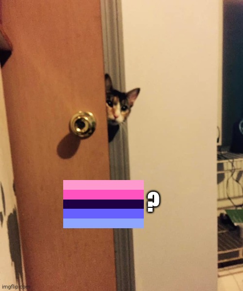 spawns cutely | ? | image tagged in cat peeking around door | made w/ Imgflip meme maker