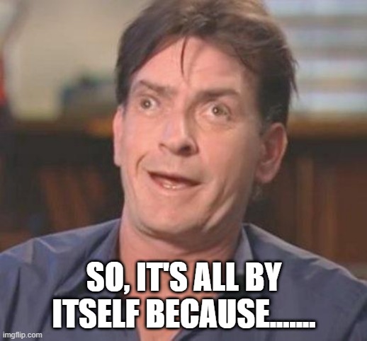 Charlie Sheen DERP | SO, IT'S ALL BY ITSELF BECAUSE....... | image tagged in charlie sheen derp | made w/ Imgflip meme maker