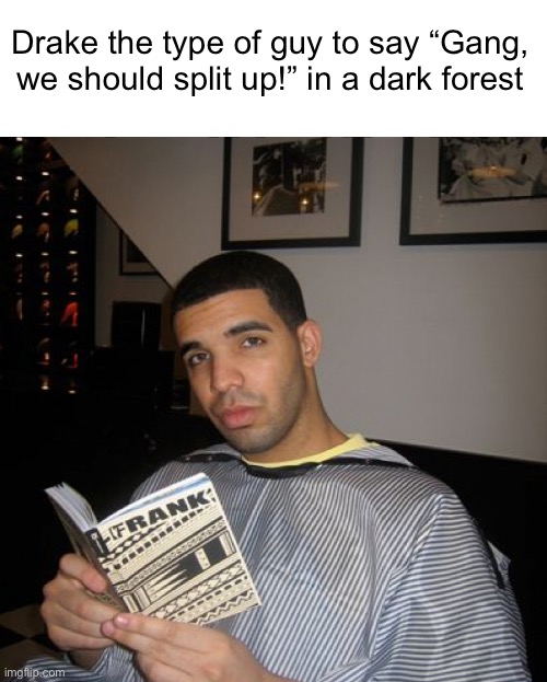 Bro did you just talk during independent reading time? | Drake the type of guy to say “Gang, we should split up!” in a dark forest | image tagged in bro did you just talk during independent reading time | made w/ Imgflip meme maker