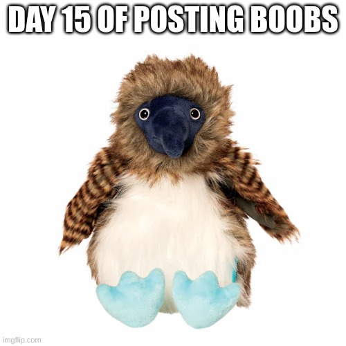DAY 15 OF POSTING BOOBS | made w/ Imgflip meme maker