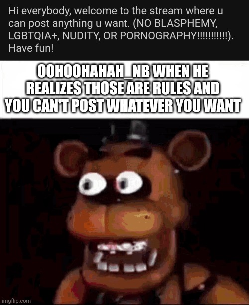 OOHOOHAHAH_NB WHEN HE REALIZES THOSE ARE RULES AND YOU CAN'T POST WHATEVER YOU WANT | image tagged in shocked freddy fazbear | made w/ Imgflip meme maker