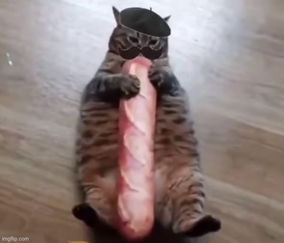 baguette cat | image tagged in baguette cat | made w/ Imgflip meme maker