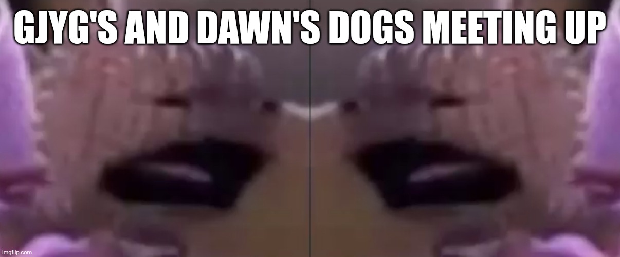 GJYG'S AND DAWN'S DOGS MEETING UP | image tagged in sackboy,msmg | made w/ Imgflip meme maker