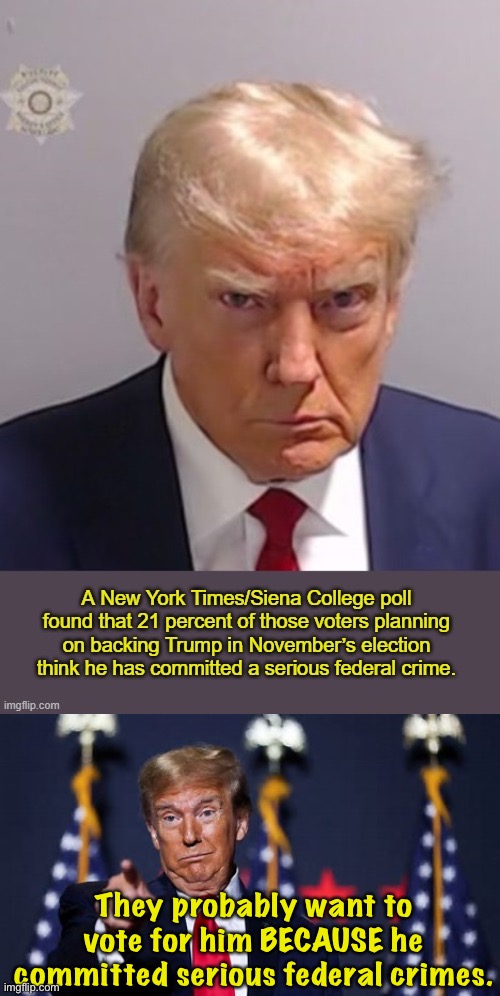 People dumb enough to vote for Trump don't really need a reason. | They probably want to vote for him BECAUSE he committed serious federal crimes. | image tagged in stupid trump | made w/ Imgflip meme maker