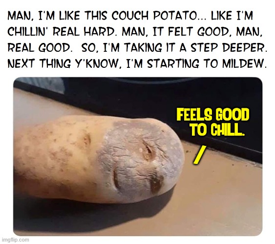 Maybe Too Good! | FEELS GOOD
  TO CHILL. / | image tagged in vince vance,potatoes,just chillin',couch potato,memes,fungus | made w/ Imgflip meme maker