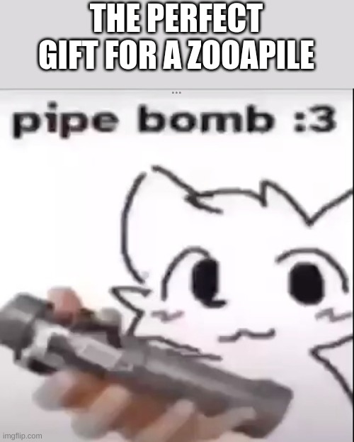 perfect gift | THE PERFECT GIFT FOR A ZOOAPILE | image tagged in perfect gift | made w/ Imgflip meme maker
