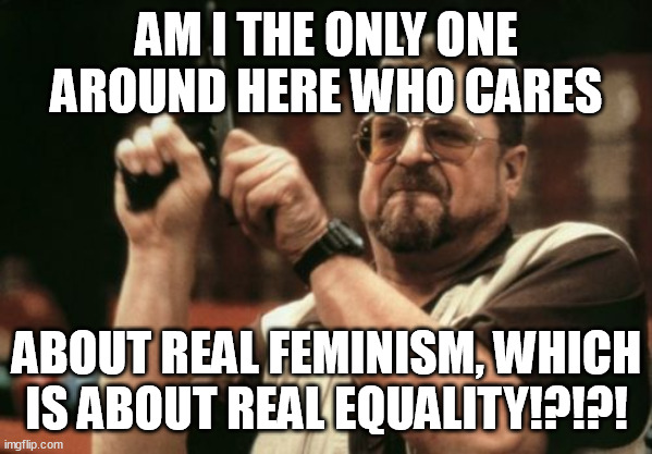 Back in the 90'S feminism wasn't about misandry and hetero-bashing. It was against it. Now... | AM I THE ONLY ONE AROUND HERE WHO CARES; ABOUT REAL FEMINISM, WHICH IS ABOUT REAL EQUALITY!?!?! | image tagged in memes,am i the only one around here,equality,real,feminism,misandry | made w/ Imgflip meme maker