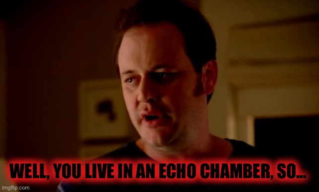 Jake from state farm | WELL, YOU LIVE IN AN ECHO CHAMBER, SO… | image tagged in jake from state farm | made w/ Imgflip meme maker