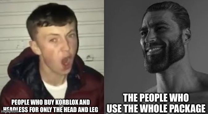 It’s true | PEOPLE WHO BUY KORBLOX AND HEADLESS FOR ONLY THE HEAD AND LEG; THE PEOPLE WHO USE THE WHOLE PACKAGE | image tagged in average enjoyer meme,roblox,roblox meme,fun | made w/ Imgflip meme maker