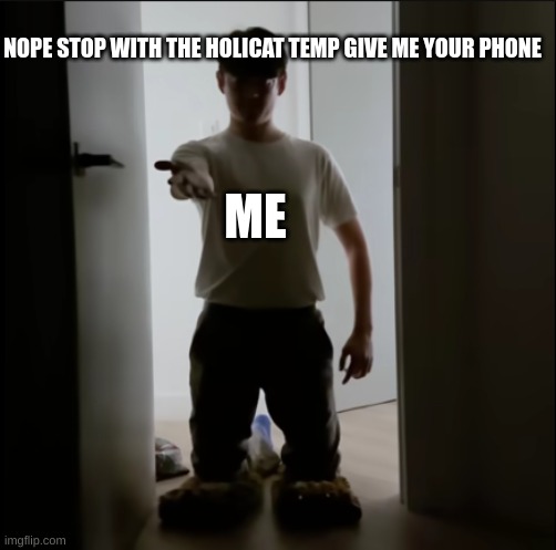 STOP | NOPE STOP WITH THE HOLICAT TEMP GIVE ME YOUR PHONE; ME | image tagged in give me tim | made w/ Imgflip meme maker