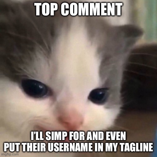 UwU | TOP COMMENT; I’LL SIMP FOR AND EVEN PUT THEIR USERNAME IN MY TAGLINE | image tagged in mischief,comment,heaven tagline,tagline | made w/ Imgflip meme maker