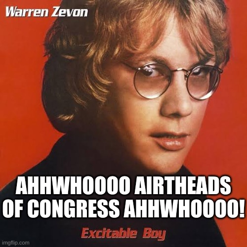 Warren Zevon | AHHWHOOOO AIRTHEADS OF CONGRESS AHHWHOOOO! | image tagged in warren zevon | made w/ Imgflip meme maker