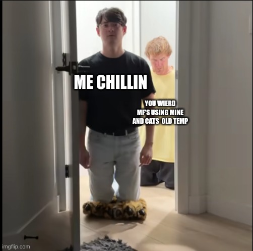 m | ME CHILLIN; YOU WIERD MF'S USING MINE AND CATS  OLD TEMP | image tagged in m | made w/ Imgflip meme maker