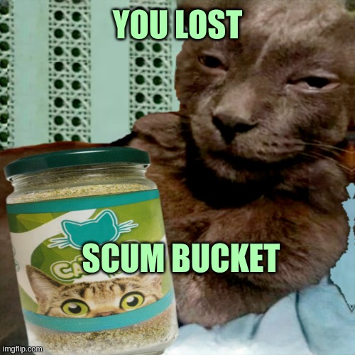 That Troll | YOU LOST; SCUM BUCKET | image tagged in shit poster 4 lyfe,loser,scumbag,troll,cat,if you look at it like this | made w/ Imgflip meme maker