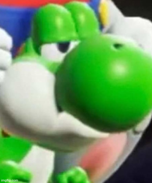 Yoshi bruh | image tagged in yoshi bruh | made w/ Imgflip meme maker