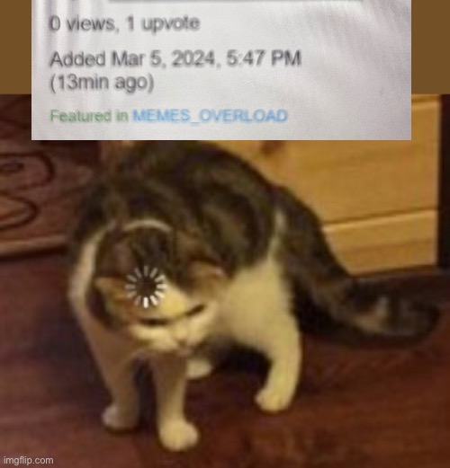How exactly? | image tagged in loading cat | made w/ Imgflip meme maker