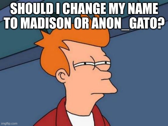 This is not Maria or Plague thankfully | SHOULD I CHANGE MY NAME TO MADISON OR ANON_GATO? | image tagged in memes,futurama fry | made w/ Imgflip meme maker