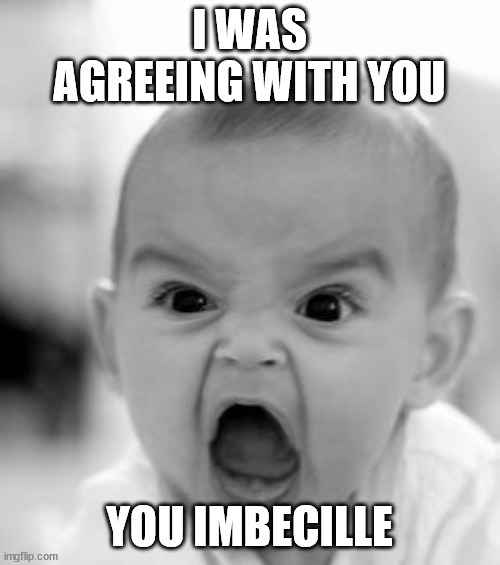 Angry Baby Meme | I WAS AGREEING WITH YOU YOU IMBECILLE | image tagged in memes,angry baby | made w/ Imgflip meme maker