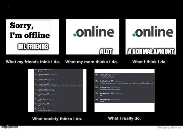 :) | A NORMAL AMOUNT; IRL FRIENDS; ALOT | image tagged in what i really do | made w/ Imgflip meme maker