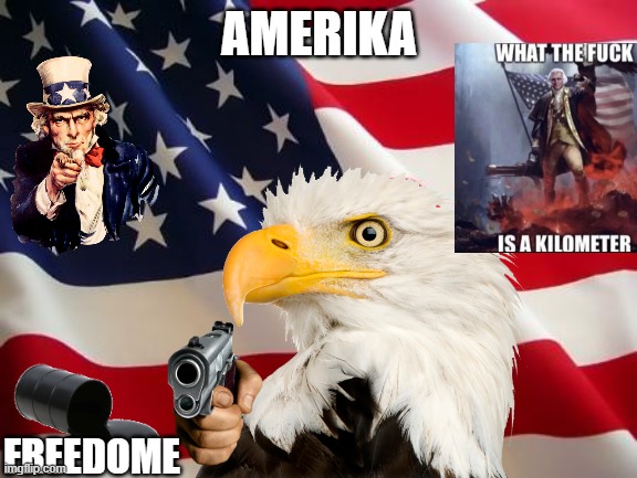 American flag | AMERIKA FREEDOME | image tagged in american flag | made w/ Imgflip meme maker