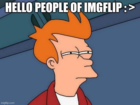 Hope you doing well | HELLO PEOPLE OF IMGFLIP : > | image tagged in memes,futurama fry | made w/ Imgflip meme maker