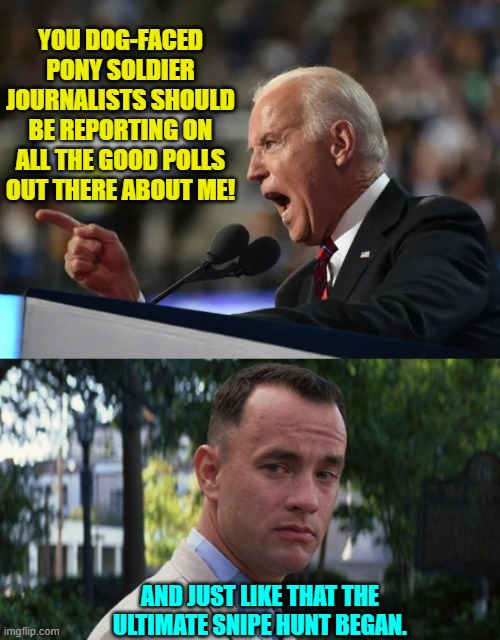 There must be some . . . somewhere, right? | YOU DOG-FACED PONY SOLDIER JOURNALISTS SHOULD BE REPORTING ON ALL THE GOOD POLLS OUT THERE ABOUT ME! AND JUST LIKE THAT THE ULTIMATE SNIPE HUNT BEGAN. | image tagged in yep | made w/ Imgflip meme maker