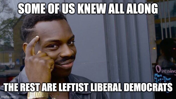 Roll Safe Think About It Meme | SOME OF US KNEW ALL ALONG THE REST ARE LEFTIST LIBERAL DEMOCRATS | image tagged in memes,roll safe think about it | made w/ Imgflip meme maker