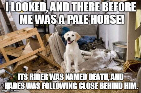 I LOOKED, AND THERE BEFORE ME WAS A PALE HORSE! ITS RIDER WAS NAMED DEATH, AND HADES WAS FOLLOWING CLOSE BEHIND HIM. | made w/ Imgflip meme maker