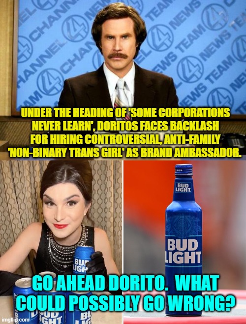 Some C.E.O.s take 'how stupid can you be?' as a personal challenge. | UNDER THE HEADING OF 'SOME CORPORATIONS NEVER LEARN', DORITOS FACES BACKLASH FOR HIRING CONTROVERSIAL, ANTI-FAMILY 'NON-BINARY TRANS GIRL' AS BRAND AMBASSADOR. GO AHEAD DORITO.  WHAT COULD POSSIBLY GO WRONG? | image tagged in breaking news | made w/ Imgflip meme maker