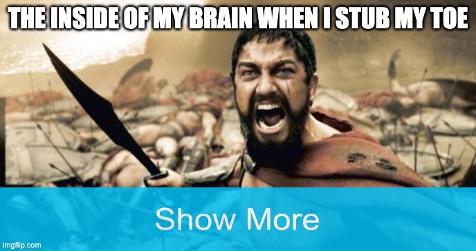 true OWWWWWWW | THE INSIDE OF MY BRAIN WHEN I STUB MY TOE | image tagged in memes,sparta leonidas,growing up | made w/ Imgflip meme maker
