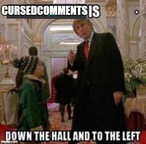 Screaming_Stream  Is down the hall to the left | CURSEDCOMMENTS | image tagged in screaming_stream is down the hall to the left | made w/ Imgflip meme maker