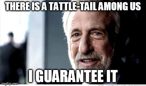 I Guarantee It Meme | THERE IS A TATTLE-TAIL AMONG US I GUARANTEE IT | image tagged in memes,i guarantee it,AdviceAnimals | made w/ Imgflip meme maker