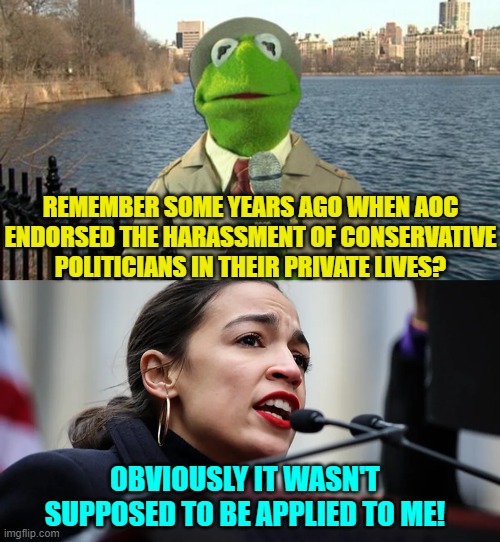 Isn't it interesting how leftists ALWAYS consider themselves the exception to their own policies? | REMEMBER SOME YEARS AGO WHEN AOC ENDORSED THE HARASSMENT OF CONSERVATIVE POLITICIANS IN THEIR PRIVATE LIVES? OBVIOUSLY IT WASN'T SUPPOSED TO BE APPLIED TO ME! | image tagged in kermit news report | made w/ Imgflip meme maker