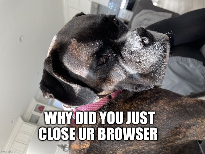 Suspicious Dog | WHY DID YOU JUST CLOSE UR BROWSER | image tagged in suspicious dog | made w/ Imgflip meme maker