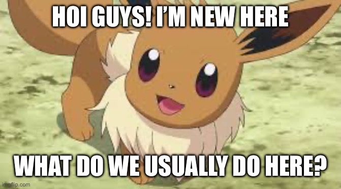 Eevee | HOI GUYS! I’M NEW HERE; WHAT DO WE USUALLY DO HERE? | image tagged in eevee | made w/ Imgflip meme maker