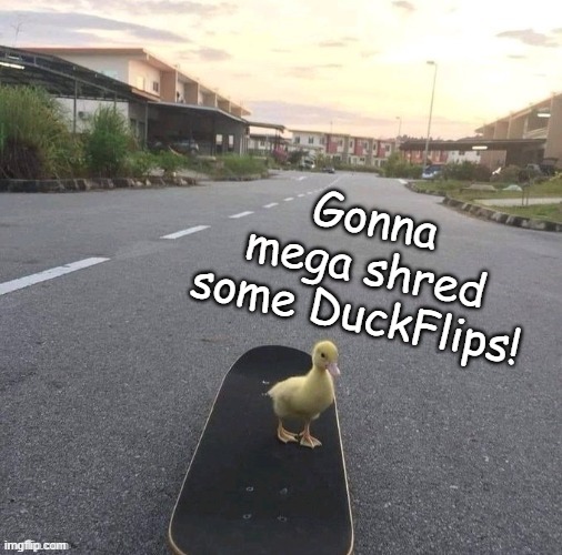 Gonna mega shred some DuckFlips! | made w/ Imgflip meme maker
