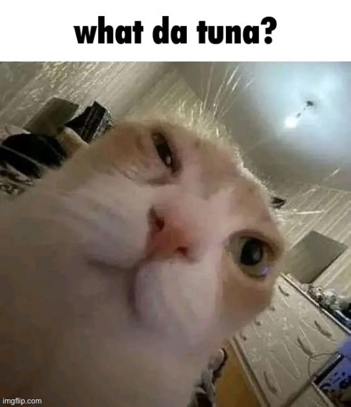 What da tuna? | image tagged in what da tuna | made w/ Imgflip meme maker