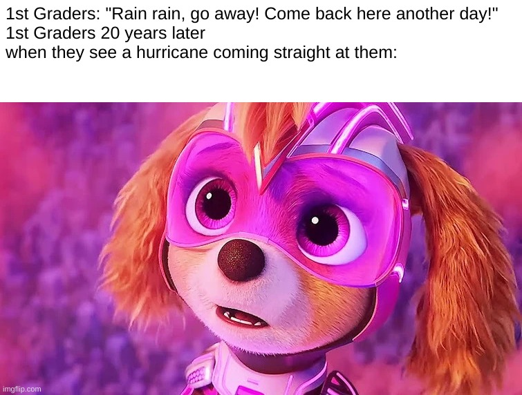 Skye Staring | 1st Graders: "Rain rain, go away! Come back here another day!"
1st Graders 20 years later when they see a hurricane coming straight at them: | image tagged in skye staring | made w/ Imgflip meme maker