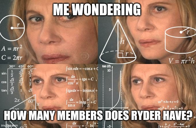 A 26th member to the Paw Patrol Meme | ME WONDERING; HOW MANY MEMBERS DOES RYDER HAVE? | image tagged in calculating meme | made w/ Imgflip meme maker